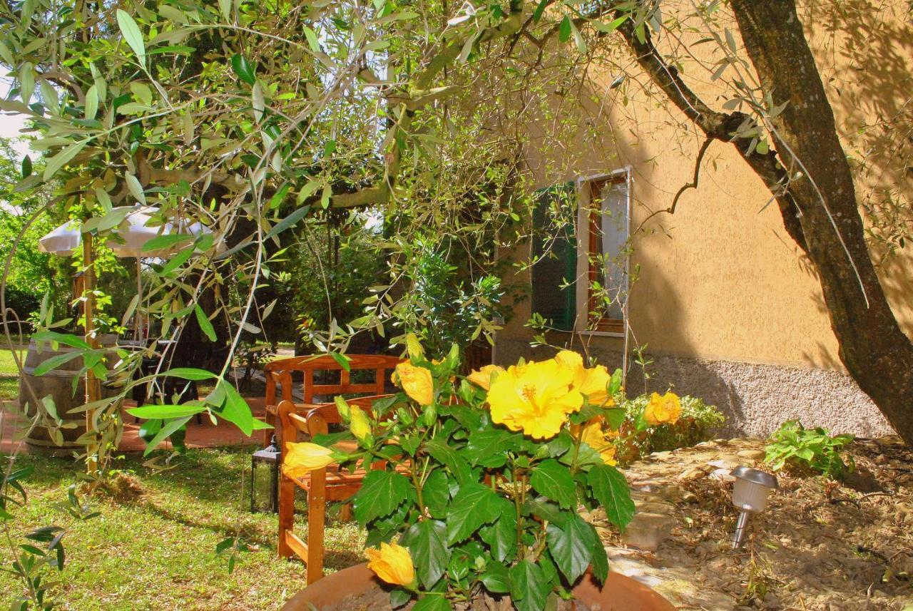 Agriturismo La Nicchia Castelnuovo Berardenga Exterior photo