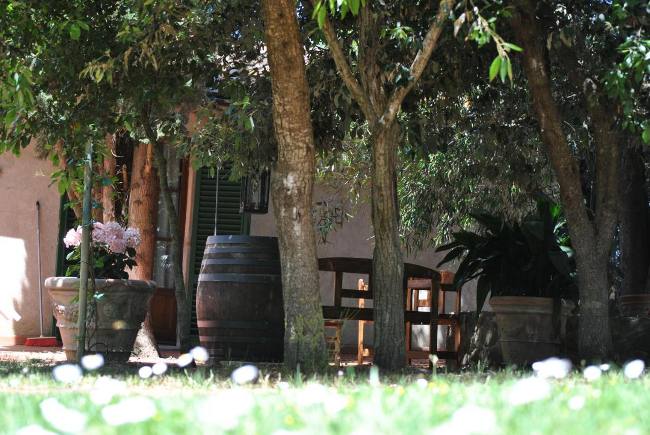 Agriturismo La Nicchia Castelnuovo Berardenga Exterior photo